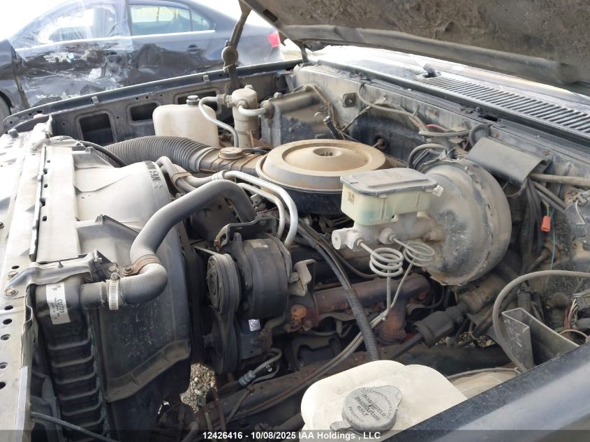 1986 Chevrolet C10 VIN: 2GCEC14H4G1205466 Lot: 12426416