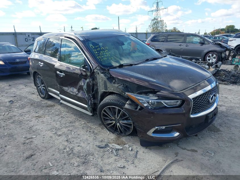 2019 Infiniti Qx60 Pure VIN: 5N1DL0MM2KC524009 Lot: 12426535