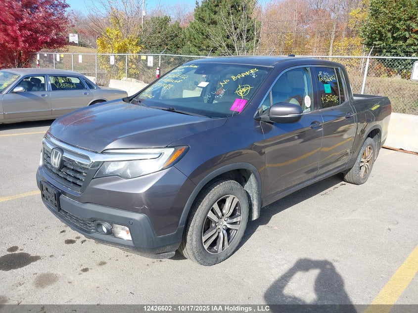 5FPYK3F53HB505083 2017 HONDA RIDGELINE photo no. 2