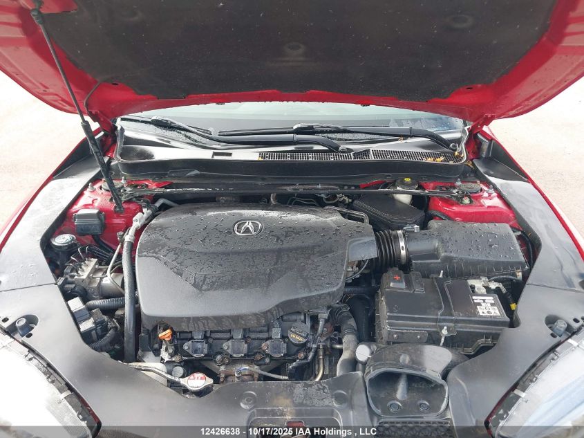 2019 Acura Tlx Technology/A-Spec VIN: 19UUB3F65KA801630 Lot: 12426638