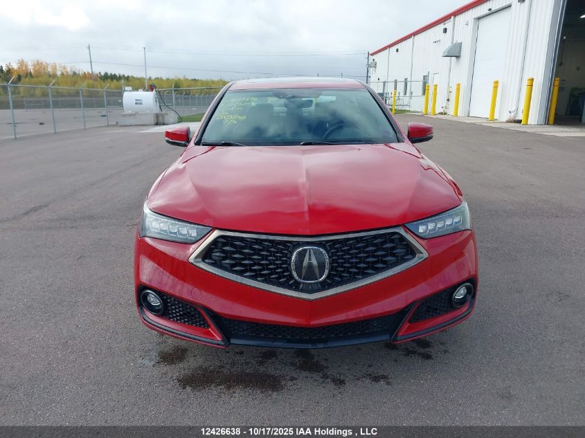 2019 Acura Tlx Technology/A-Spec VIN: 19UUB3F65KA801630 Lot: 12426638
