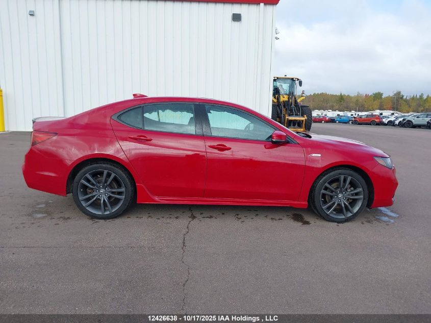 2019 Acura Tlx Technology/A-Spec VIN: 19UUB3F65KA801630 Lot: 12426638