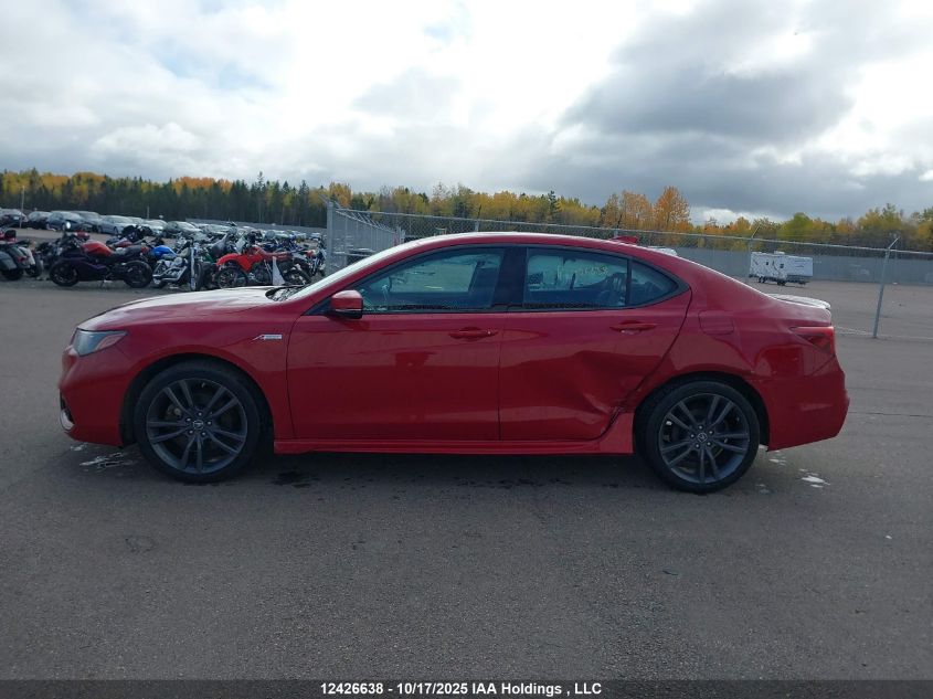2019 Acura Tlx Technology/A-Spec VIN: 19UUB3F65KA801630 Lot: 12426638