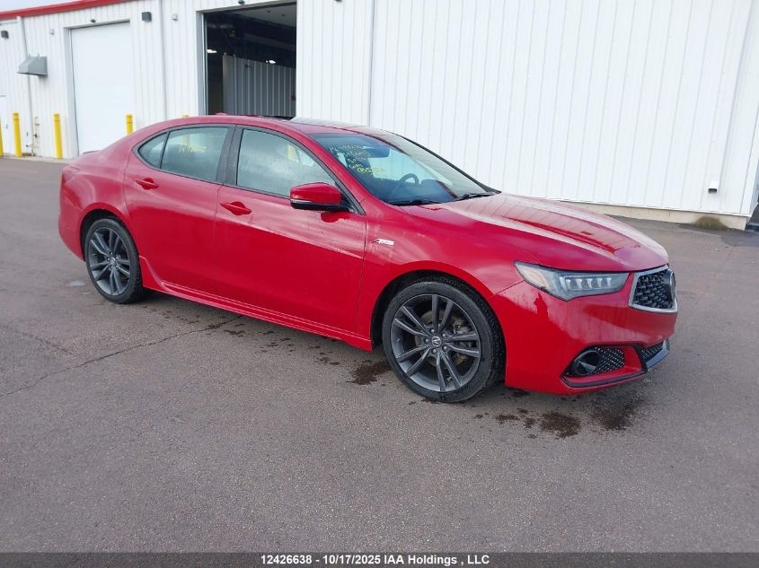 2019 Acura Tlx Technology/A-Spec VIN: 19UUB3F65KA801630 Lot: 12426638