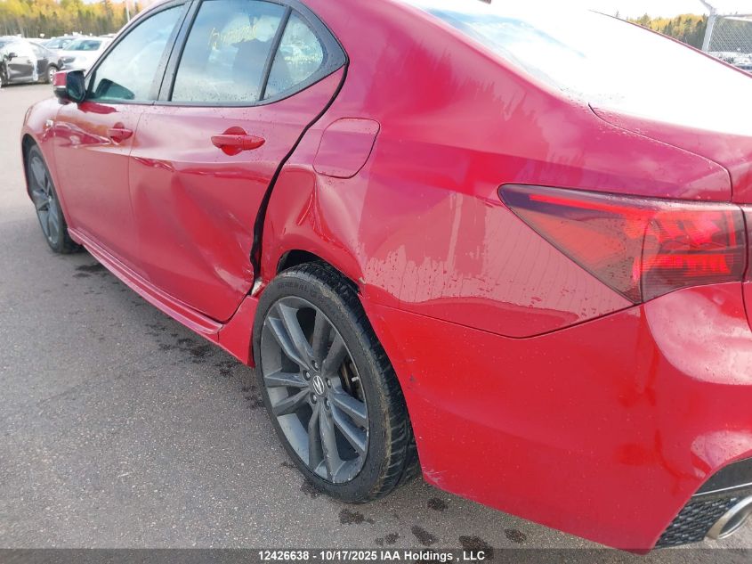 2019 Acura Tlx Technology/A-Spec VIN: 19UUB3F65KA801630 Lot: 12426638