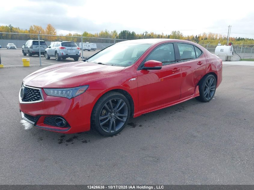 2019 Acura Tlx Technology/A-Spec VIN: 19UUB3F65KA801630 Lot: 12426638