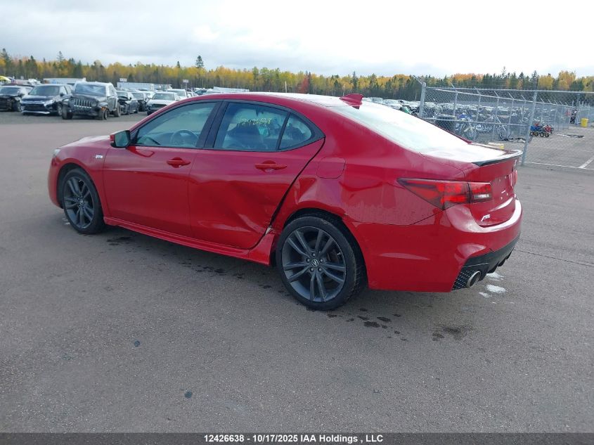 2019 Acura Tlx Technology/A-Spec VIN: 19UUB3F65KA801630 Lot: 12426638