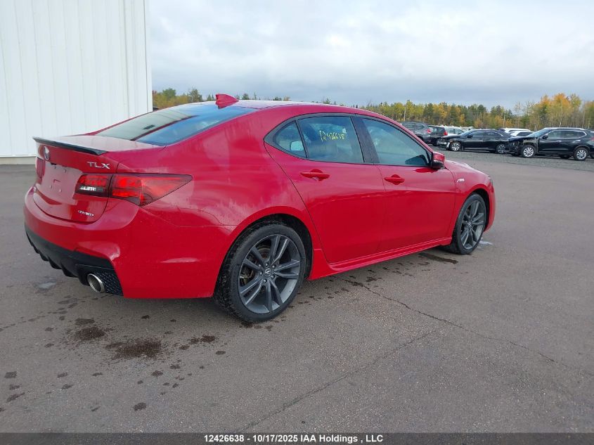 2019 Acura Tlx Technology/A-Spec VIN: 19UUB3F65KA801630 Lot: 12426638