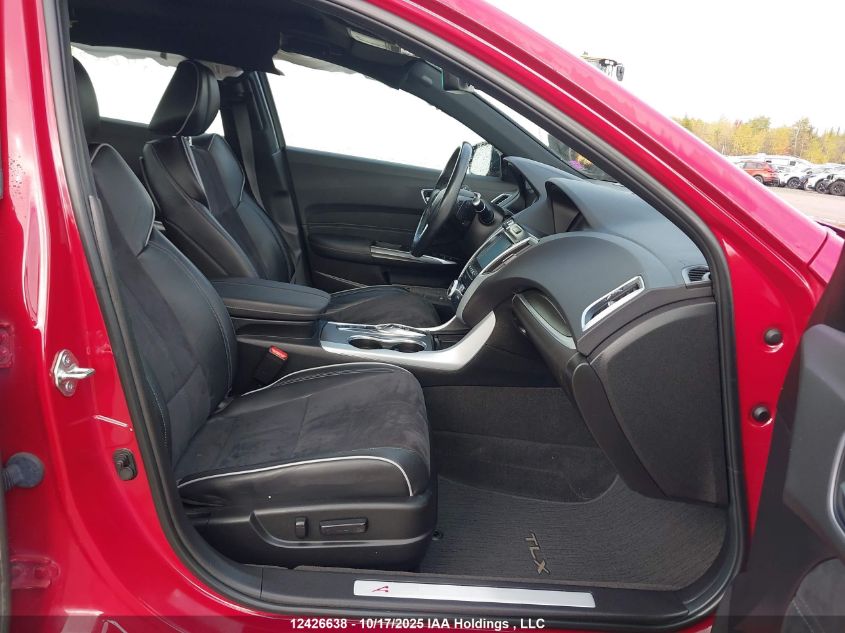 2019 Acura Tlx Technology/A-Spec VIN: 19UUB3F65KA801630 Lot: 12426638