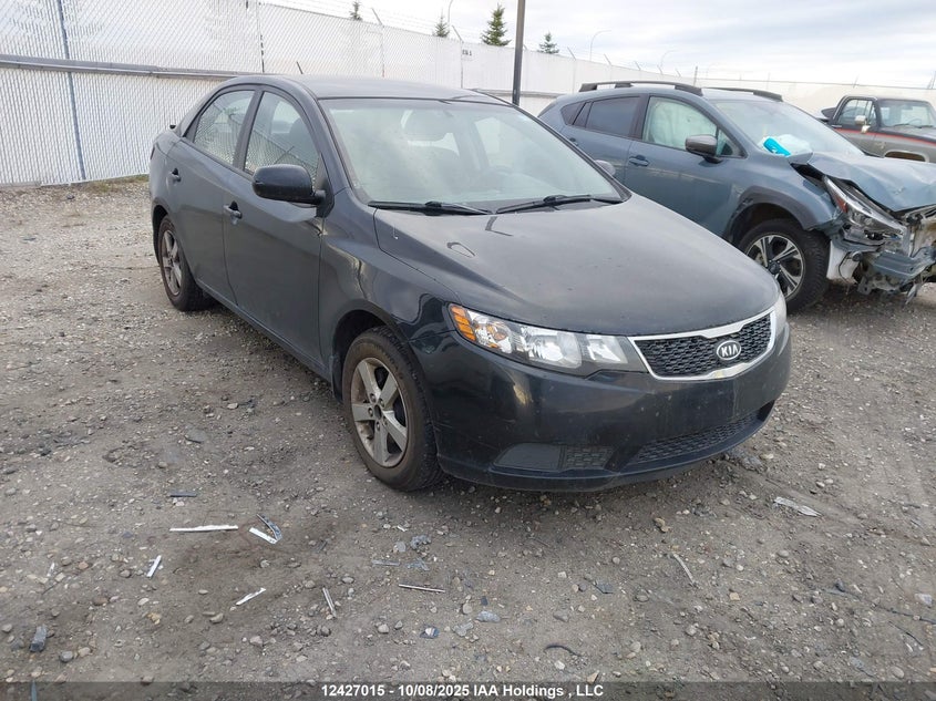 2013 Kia Forte Lx VIN: KNAFT4A21D5704397 Lot: 12427015