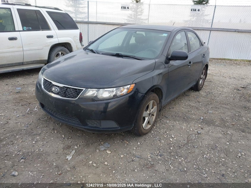 2013 Kia Forte Lx VIN: KNAFT4A21D5704397 Lot: 12427015