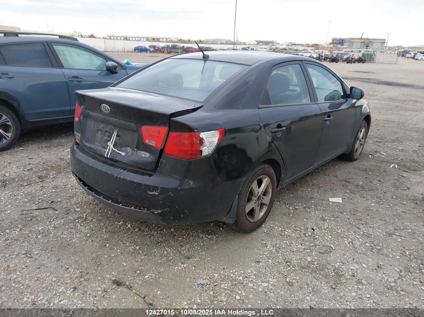 2013 Kia Forte Lx VIN: KNAFT4A21D5704397 Lot: 12427015