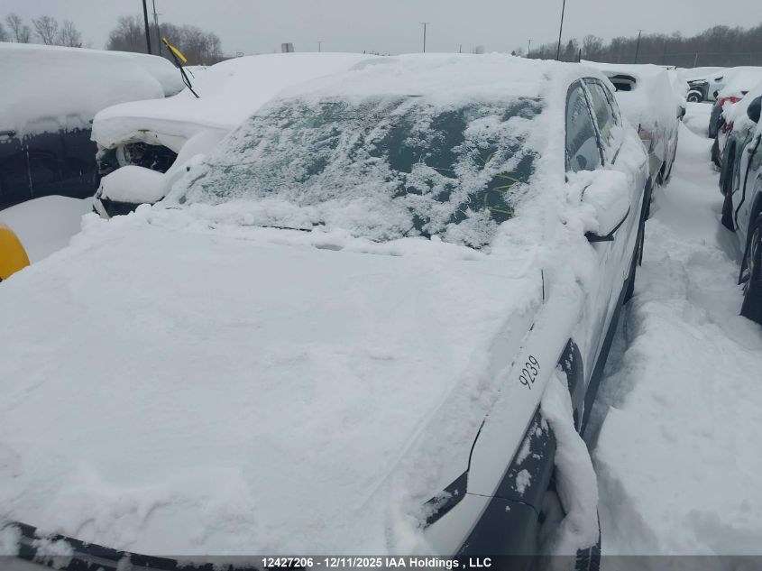 2024 Hyundai Kona 2.0L Essential VIN: KM8HA3AB6RU114250 Lot: 12427206