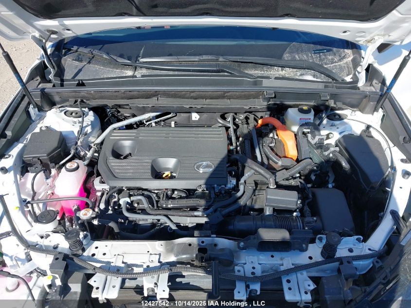 2025 Lexus Nx 350H 350H VIN: 2T2GKCEZ2SC049559 Lot: 12427542