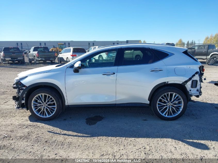 2025 Lexus Nx 350H 350H VIN: 2T2GKCEZ2SC049559 Lot: 12427542