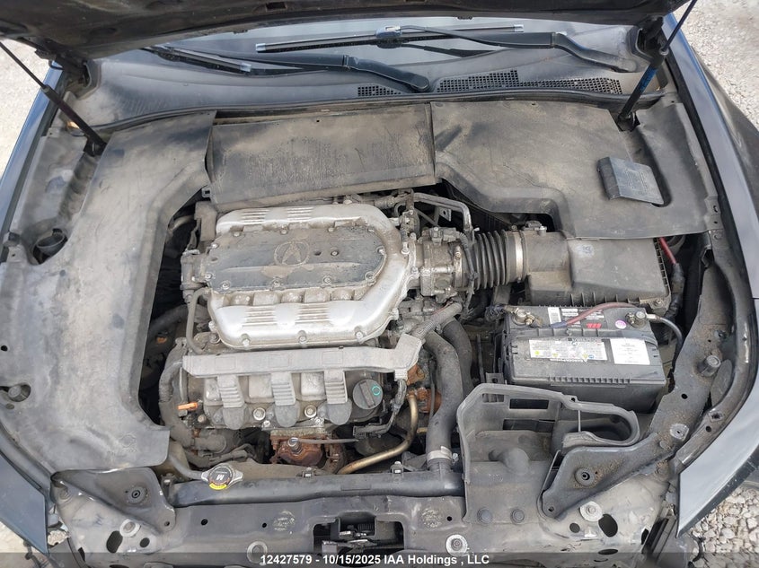 2009 Acura Tl VIN: 19UUA96569A800428 Lot: 12427579