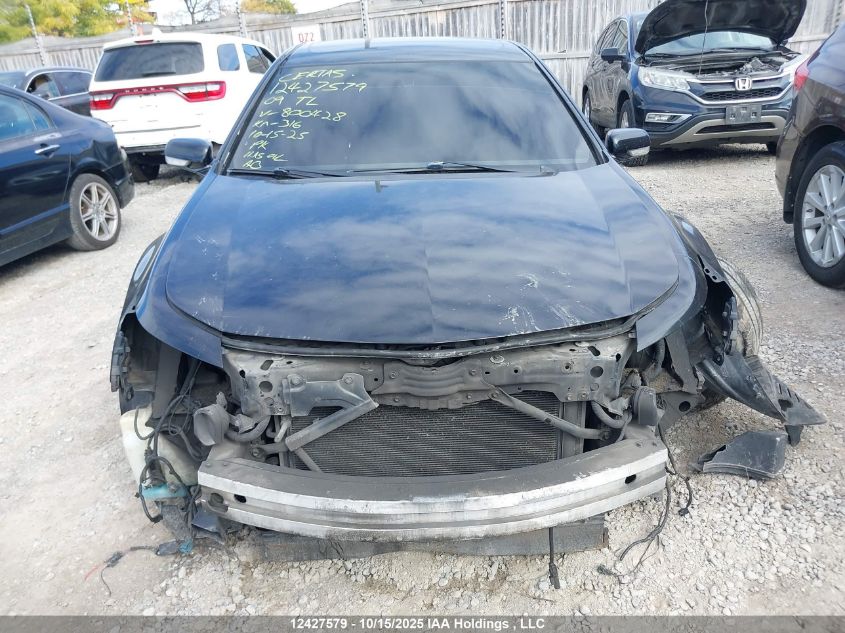 2009 Acura Tl VIN: 19UUA96569A800428 Lot: 12427579