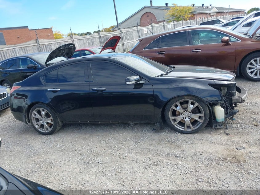 2009 Acura Tl VIN: 19UUA96569A800428 Lot: 12427579
