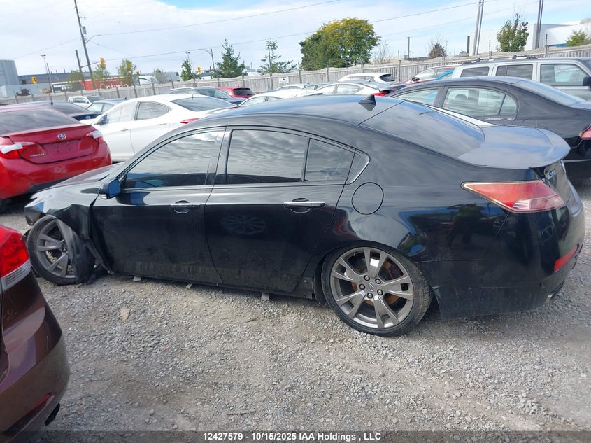 2009 Acura Tl VIN: 19UUA96569A800428 Lot: 12427579