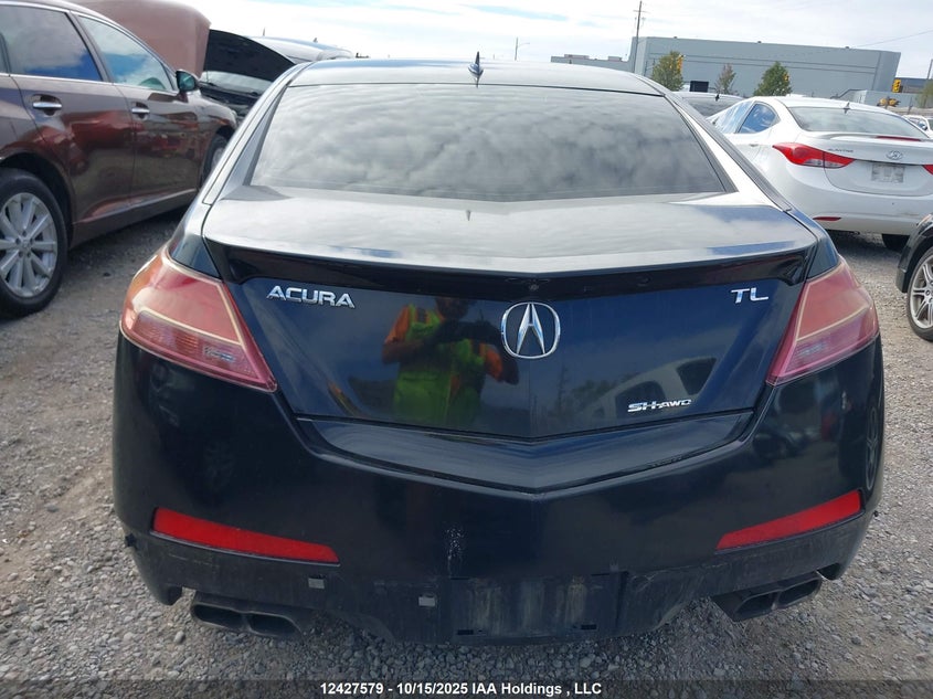 2009 Acura Tl VIN: 19UUA96569A800428 Lot: 12427579