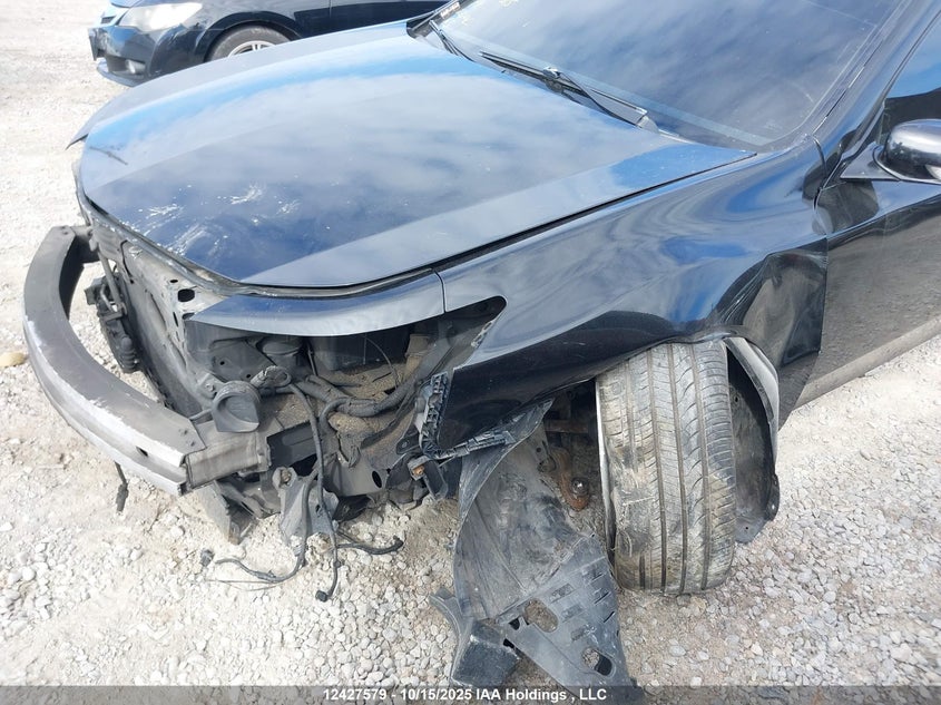 2009 Acura Tl VIN: 19UUA96569A800428 Lot: 12427579