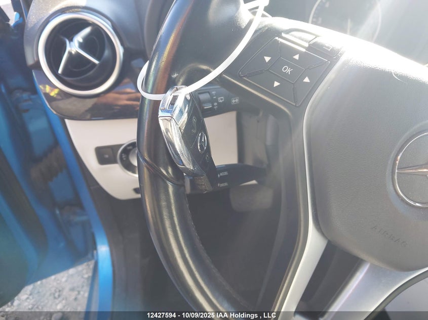 2014 Mercedes-Benz B250 VIN: WDDMH4EBXEJ194815 Lot: 12427594