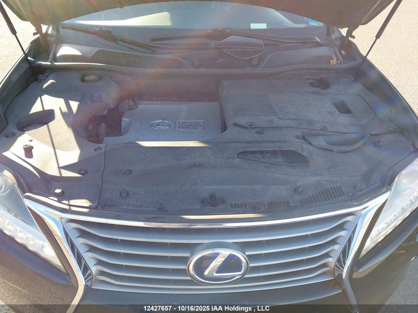 JTJBC1BA6E2067464 2014 LEXUS RX photo no. 10