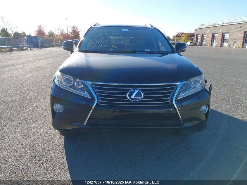 JTJBC1BA6E2067464 2014 LEXUS RX photo no. 12