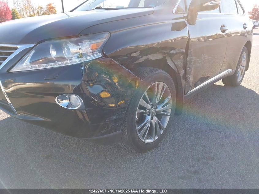 JTJBC1BA6E2067464 2014 LEXUS RX photo no. 6
