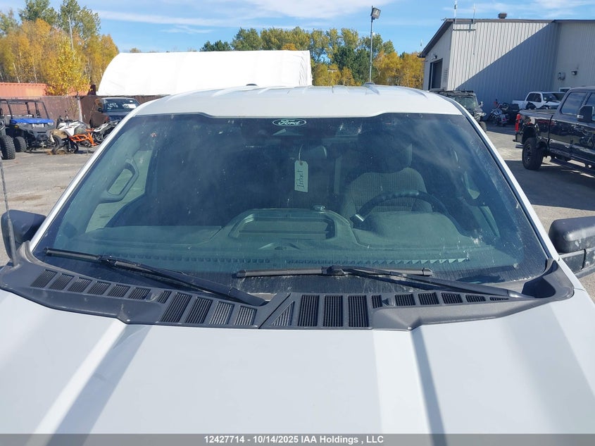 1FTEW2LP0RFB77361 2024 FORD F-150 photo no. 18
