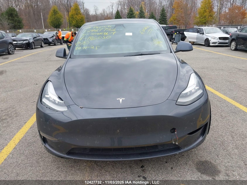 2021 Tesla Model Y VIN: 5YJYGDEE8MF186050 Lot: 12427732