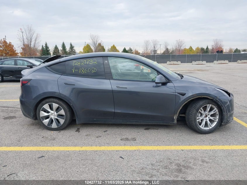 2021 Tesla Model Y VIN: 5YJYGDEE8MF186050 Lot: 12427732