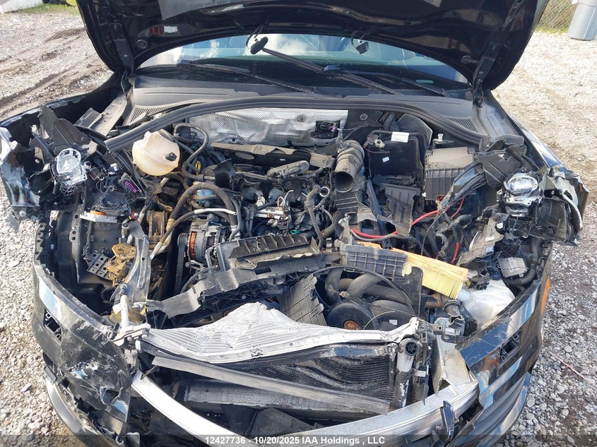 2016 Audi Q3 Premium Plus VIN: WA1BFCFS6GR018150 Lot: 12427736