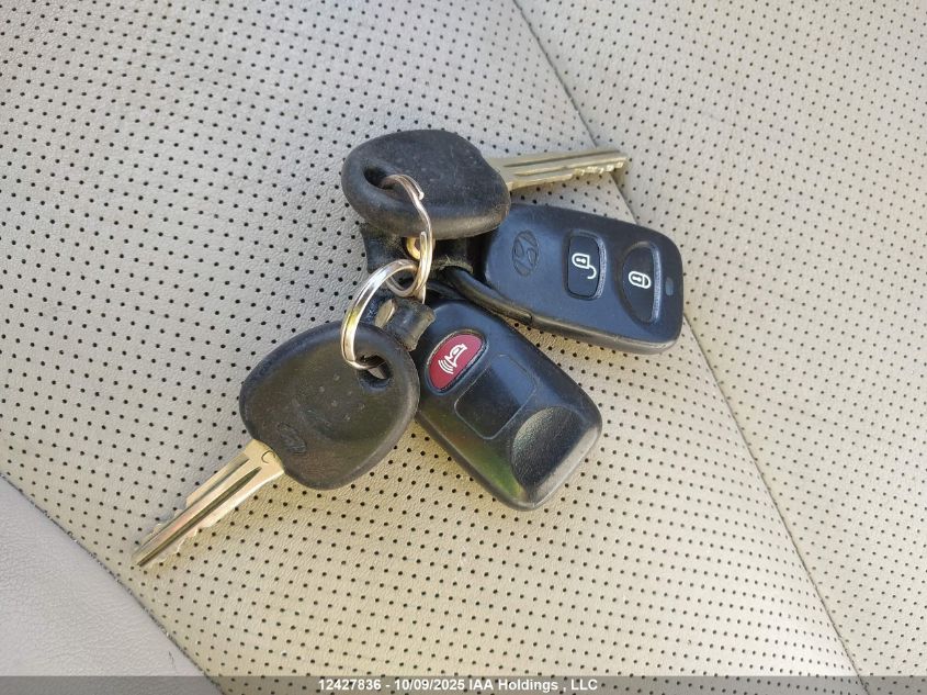 2009 Hyundai Santa Fe Se/Limited VIN: 5NMSH73E99H236659 Lot: 12427836