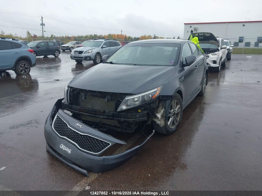 2014 Kia Optima Lx VIN: KNAGM4A79E5452333 Lot: 12427852