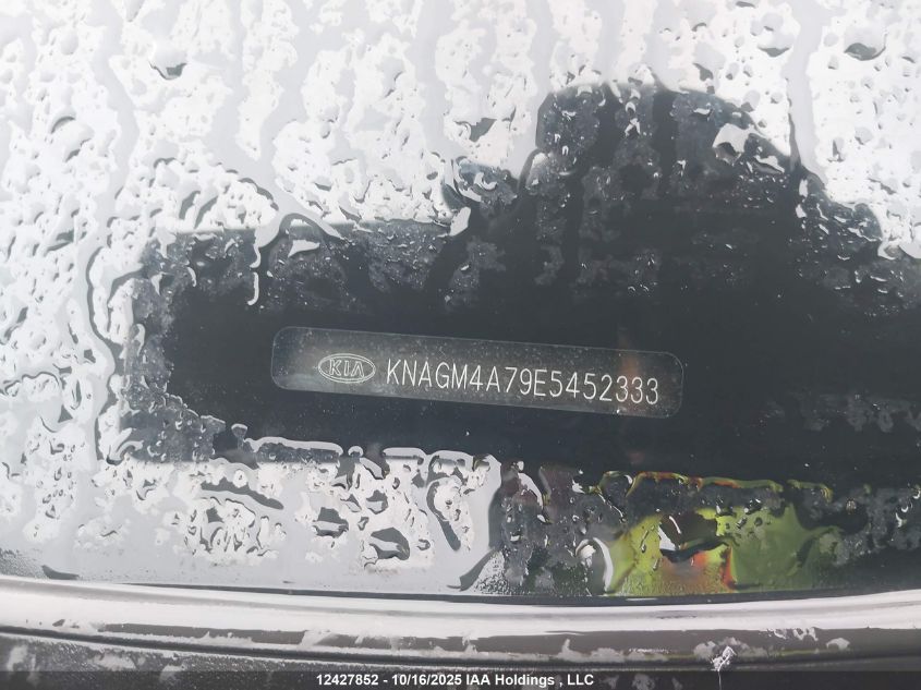2014 Kia Optima Lx VIN: KNAGM4A79E5452333 Lot: 12427852