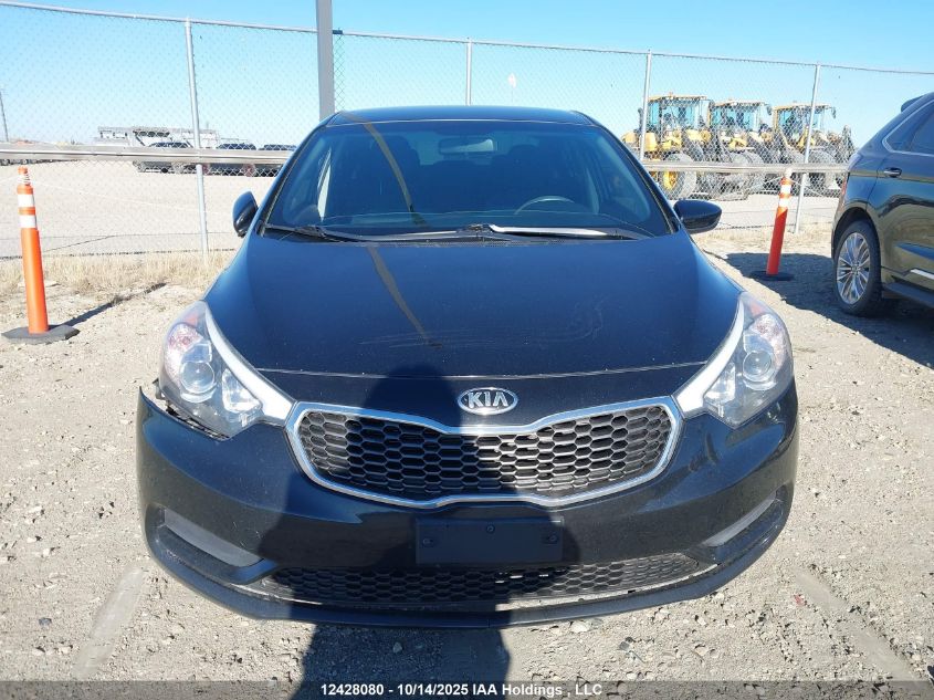 2016 Kia Forte Lx VIN: KNAFK4A64G5607091 Lot: 12428080