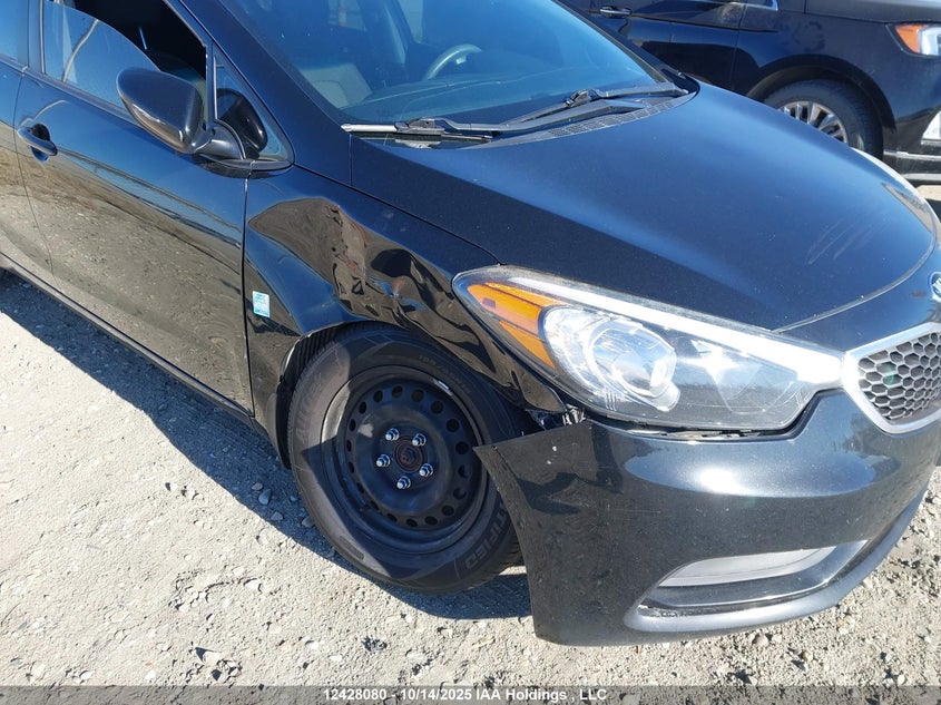 2016 Kia Forte Lx VIN: KNAFK4A64G5607091 Lot: 12428080