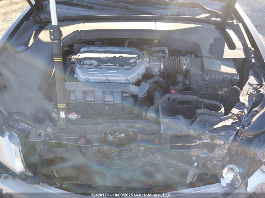 2009 Acura Tl VIN: 19UUA86589A015628 Lot: 12428171