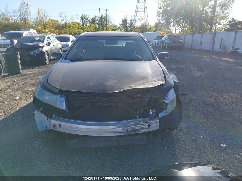 2009 Acura Tl VIN: 19UUA86589A015628 Lot: 12428171
