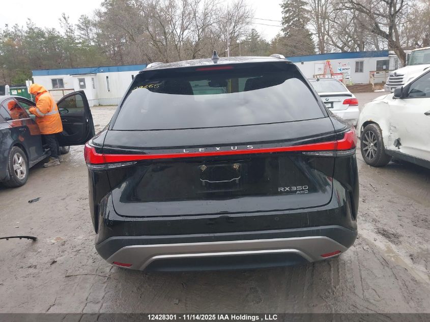 2023 Lexus Rx 350 VIN: 2T2BAMCA1PC028984 Lot: 12428301