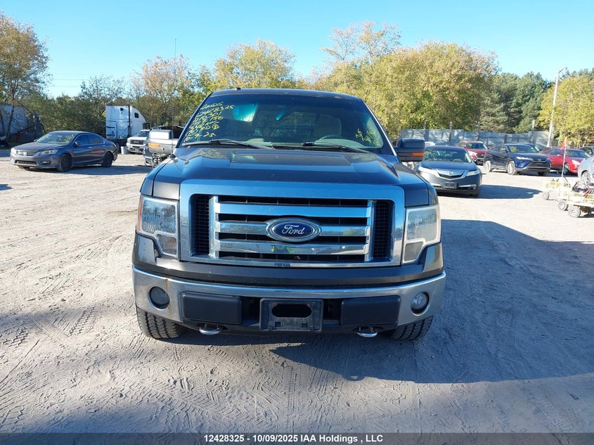 1FTRX14839FA10301 2009 FORD F-150 photo no. 12