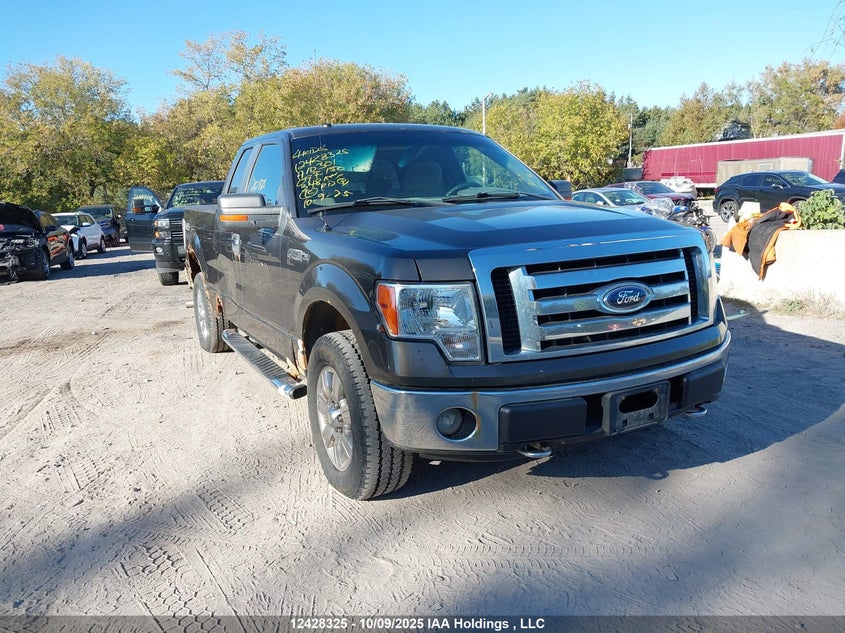 1FTRX14839FA10301 2009 FORD F-150 photo no. 3
