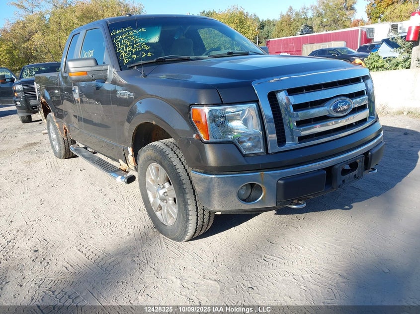 1FTRX14839FA10301 2009 FORD F-150 photo no. 6