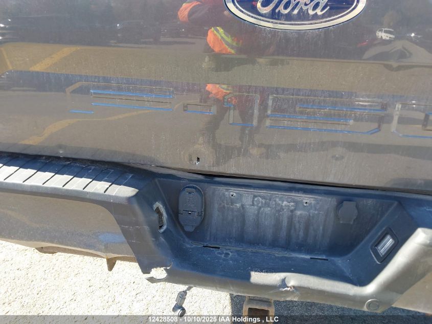 2018 Ford F-150 Xlt VIN: 1FTFW1EG6JFA81590 Lot: 12428508