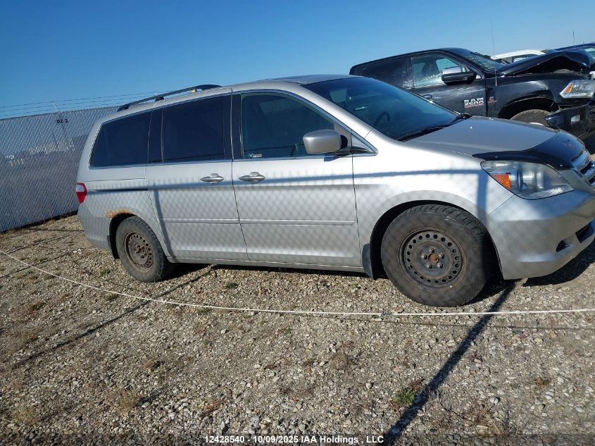 2005 Honda Odyssey Ex-L VIN: 5FNRL38635B505063 Lot: 12428540