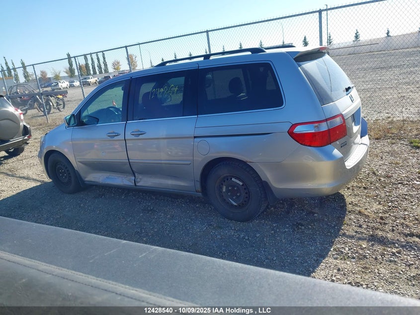 2005 Honda Odyssey Ex-L VIN: 5FNRL38635B505063 Lot: 12428540