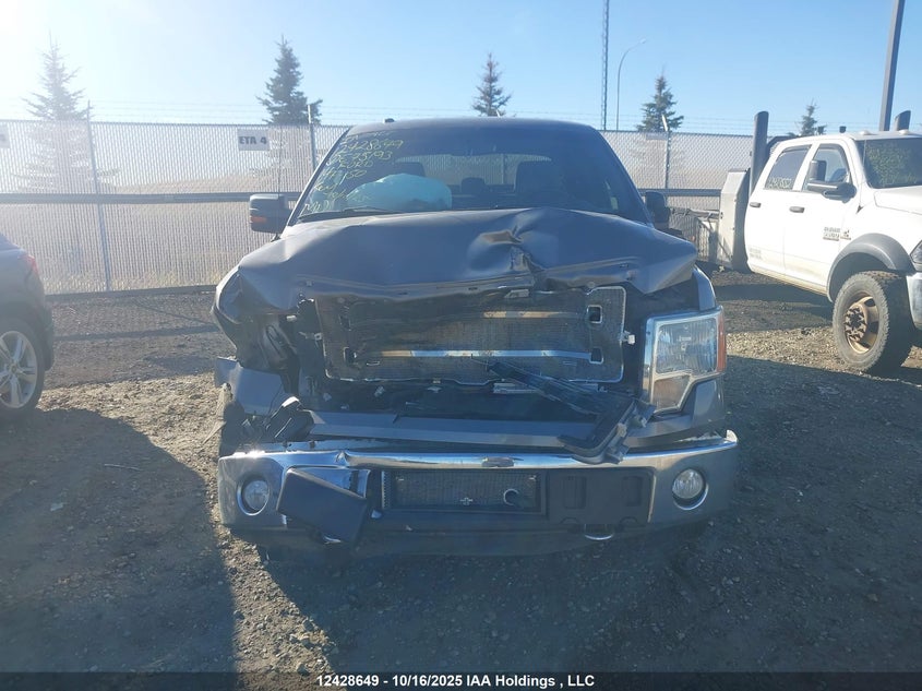 1FTFW1ET2EKE75193 2014 FORD F-150 photo no. 12