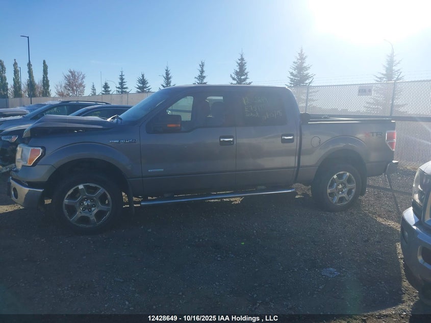 1FTFW1ET2EKE75193 2014 FORD F-150 photo no. 14