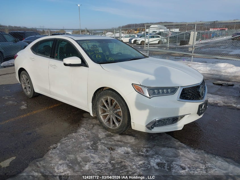 19UUB1F59KA801089 2019 Acura Tlx Tech auction photo 1